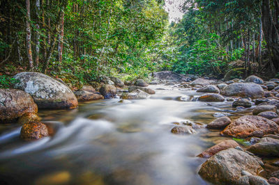 Stream flowing through rocks in forest