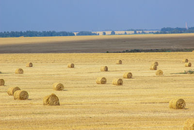 Hay bales on field against sky