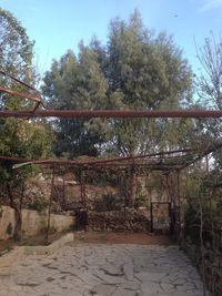 Footpath amidst trees in forest against sky