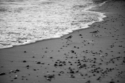 Close-up of wet sand on beach