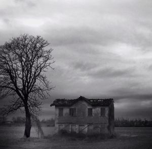 Bare trees on field against cloudy sky