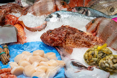 Close-up of food