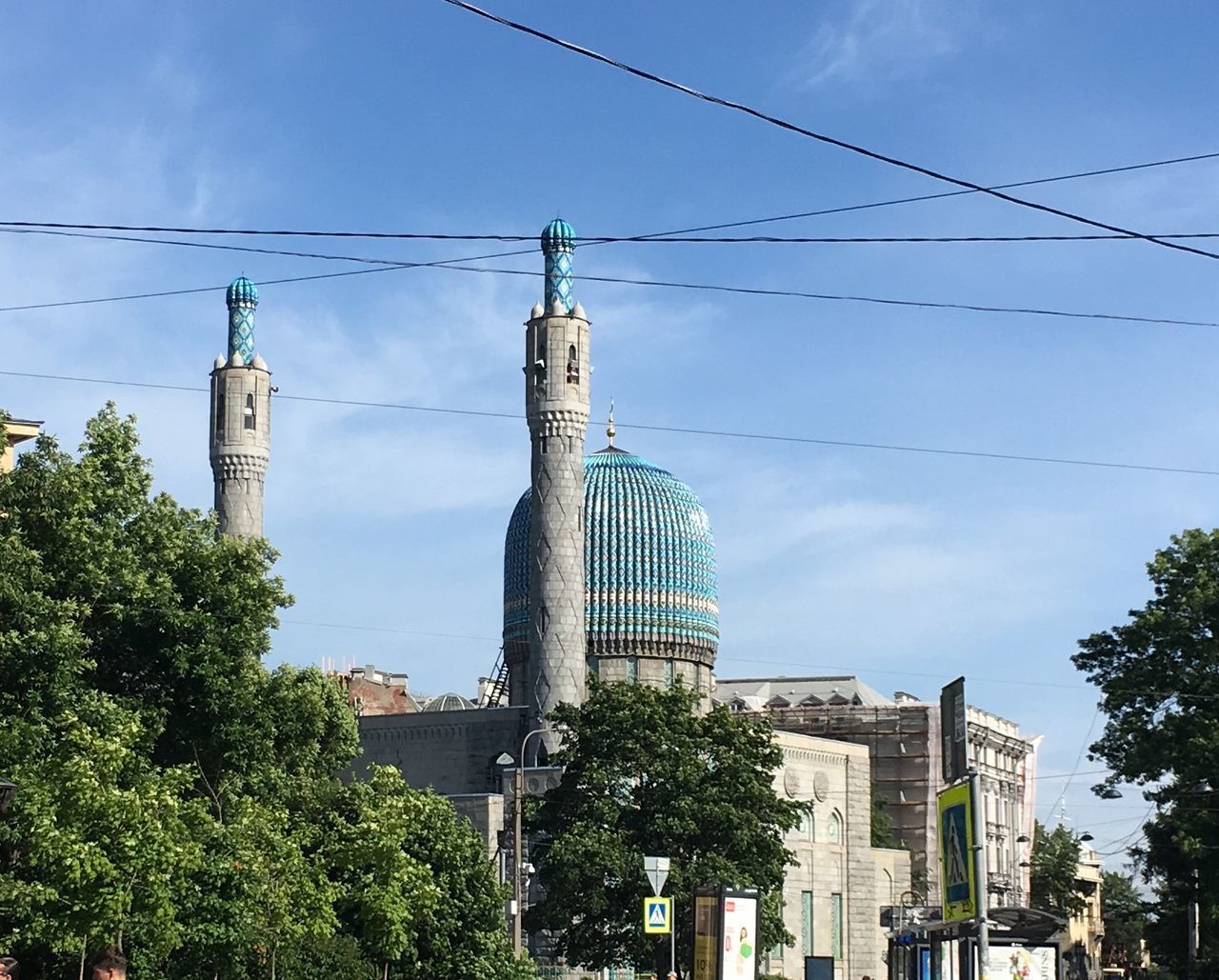 LOW ANGLE VIEW OF TREES AND BUILDINGS AGAINST SKY