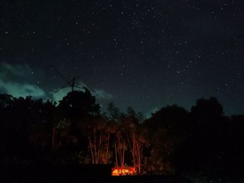 Low angle view of trees against sky at night