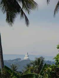 View of palm trees against sky