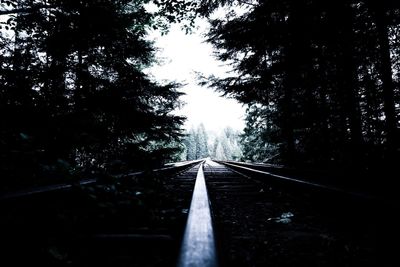 Railway tracks amidst trees against sky