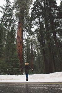 Woman jumping on road against pine trees at sequoia national park