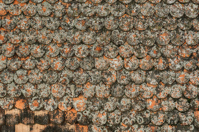 Romanian old roof tiles texture with lichens due to humid climate