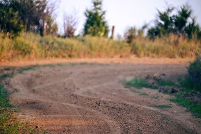 Dirt road passing through landscape