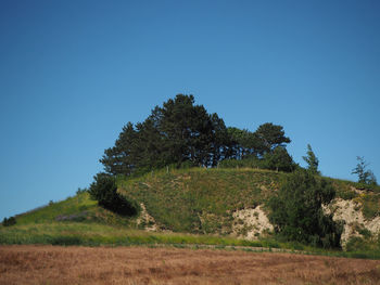Scenic view of grassy field against blue sky