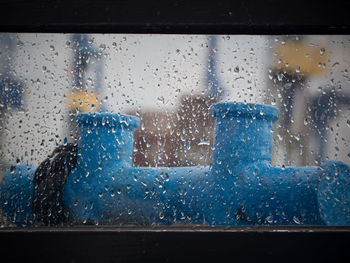 Close-up of water drops on glass window