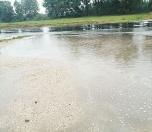 Close-up of water against trees