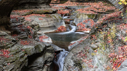 Scenic view of waterfall