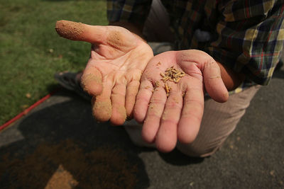 High angle view of man holding bread