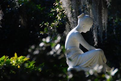 Close-up of statue against trees