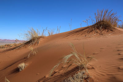 Scenic view of sand dunes against clear sky