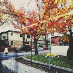 View of road with trees in background