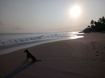 Scenic view of beach against clear sky during sunset