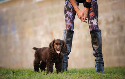 Low section of man with dog