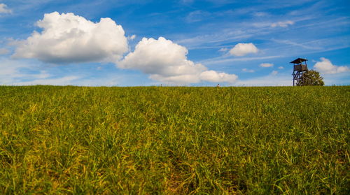 Scenic view of agricultural field against sky