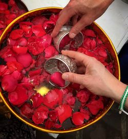 High angle view of hand holding strawberries in bowl