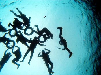 Silhouette of fishes swimming in sea