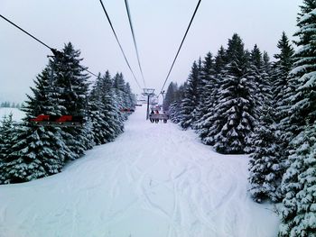 Ski lifts amidst trees during winter