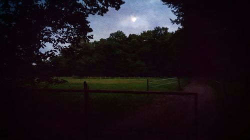 Scenic view of field against sky at night