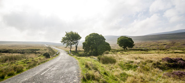 Road amidst trees on field against sky