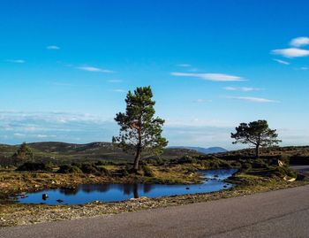 Scenic view of lake against blue sky