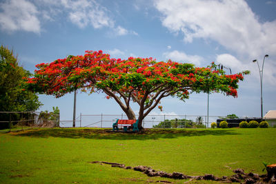 Scenic view of flowering plants by trees against sky