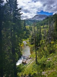 High angle view of river amidst trees against cloudy sky