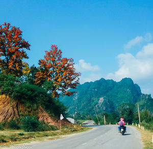 Rear view of people walking on road