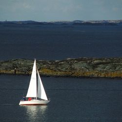 Sailboat sailing in sea