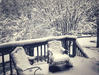 Snow covered railing against bare trees during winter