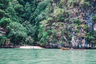 Scenic view of sea against trees in forest