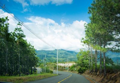 Road amidst trees against sky