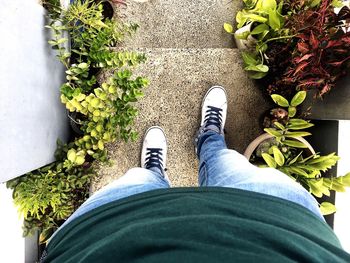 Low section of man standing by plants