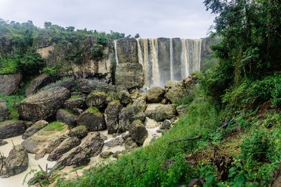 Scenic view of waterfall