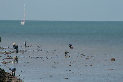 People on beach against clear sky