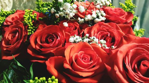 Close-up of red roses