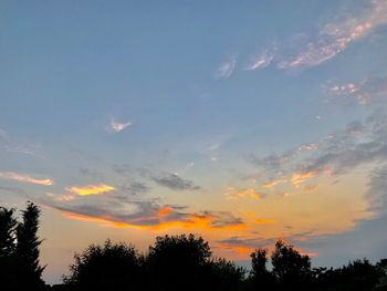 Low angle view of silhouette trees against sky during sunset