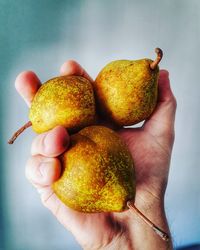 Cropped image of person holding pears