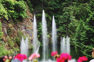 View of waterfall in forest