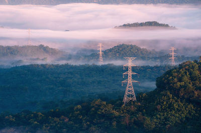 Transmission tower in green forest and beautiful morning fog. energy and environment concept. 