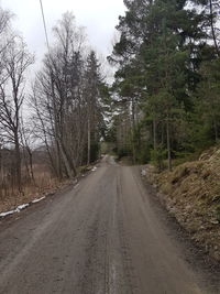 Road amidst trees against sky