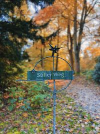 Close-up of road sign against trees