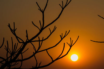 Low angle view of silhouette bare tree against sky during sunset