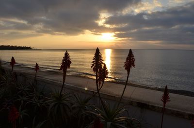 Scenic view of sea against sky during sunset