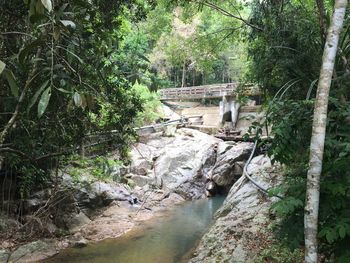 Stream flowing through rocks in forest